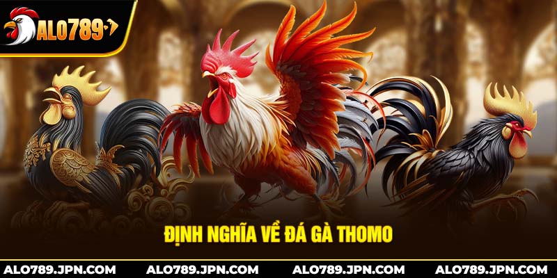 Định nghĩa về đá gà thomo